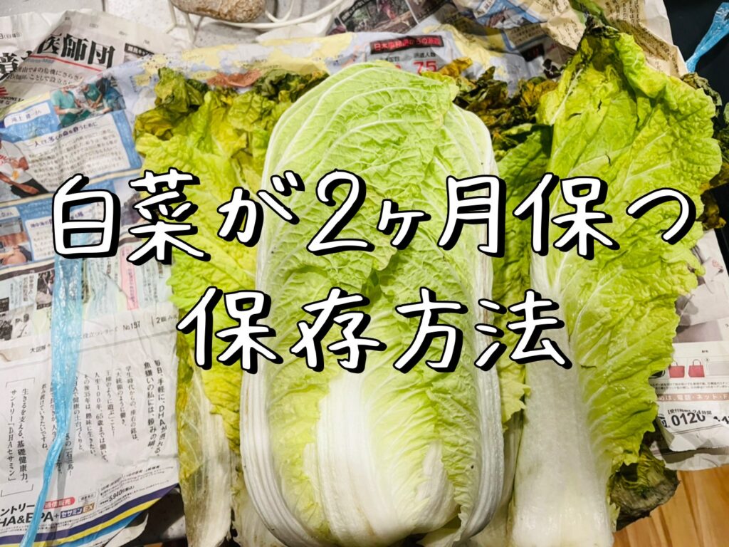 白菜の保存方法