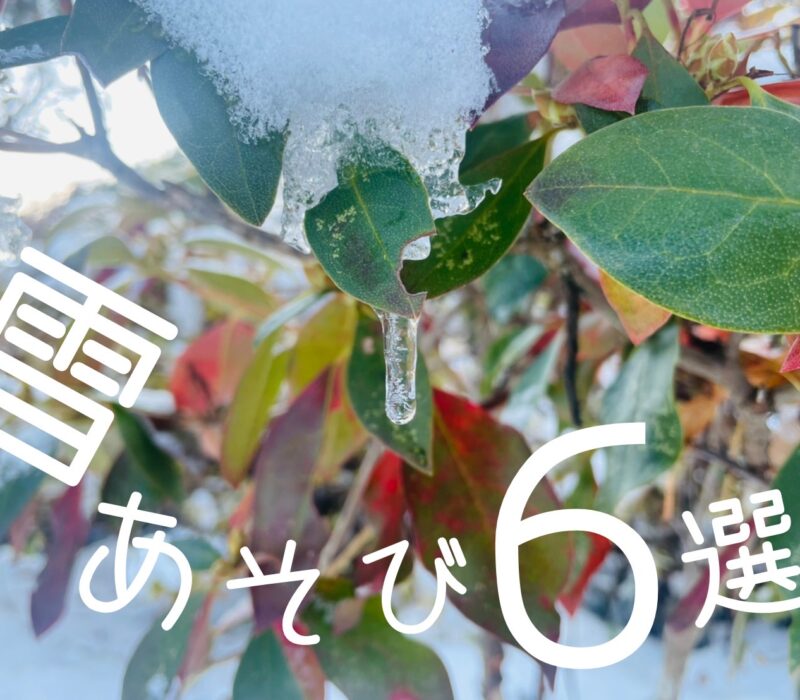 雪遊び6選