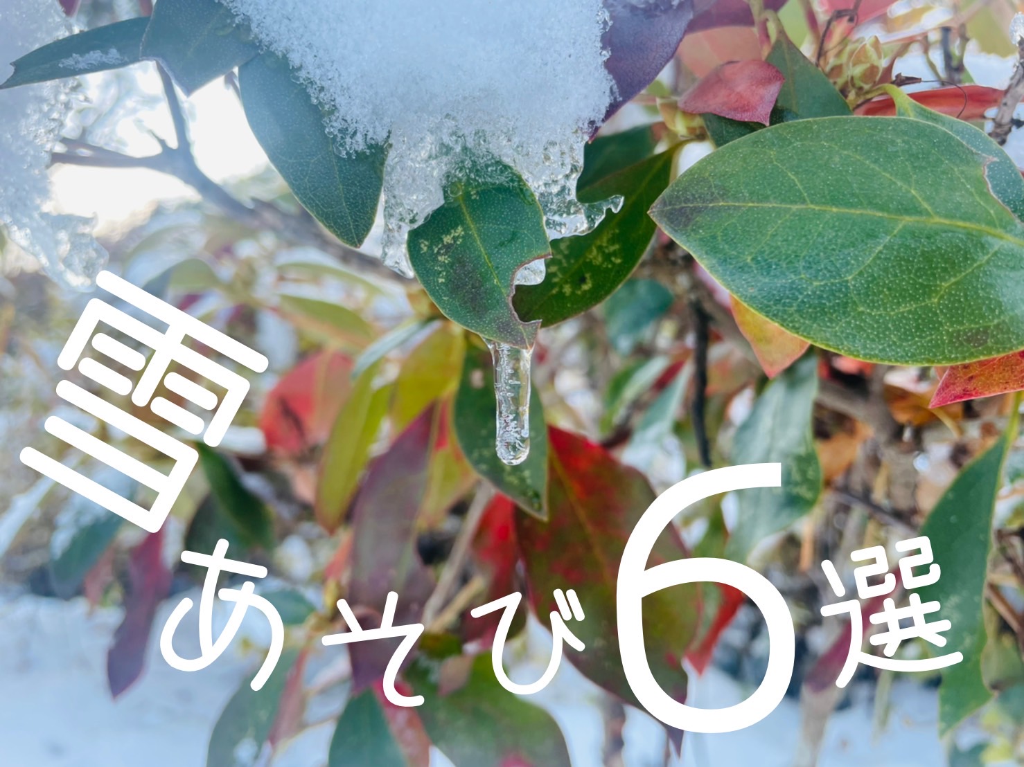 雪遊び6選